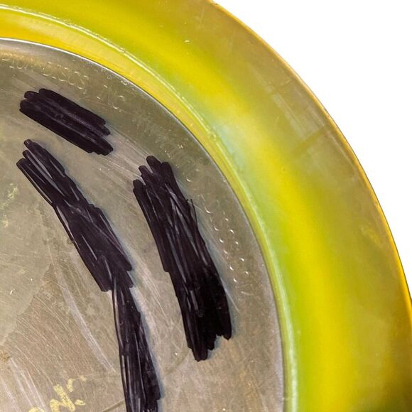 Innova Champion Disc Golf Distance Driver Yellow 166 Grams - Picture 9 of 10